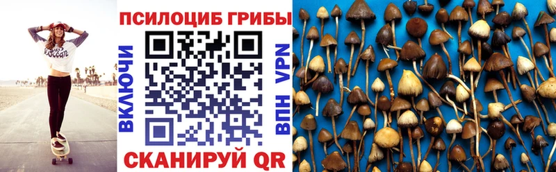 Псилоцибиновые грибы MAGIC MUSHROOMS  купить наркотик  Инсар 
